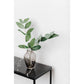HOP MAXI Black-UNCOMMON-LUXORMAISON